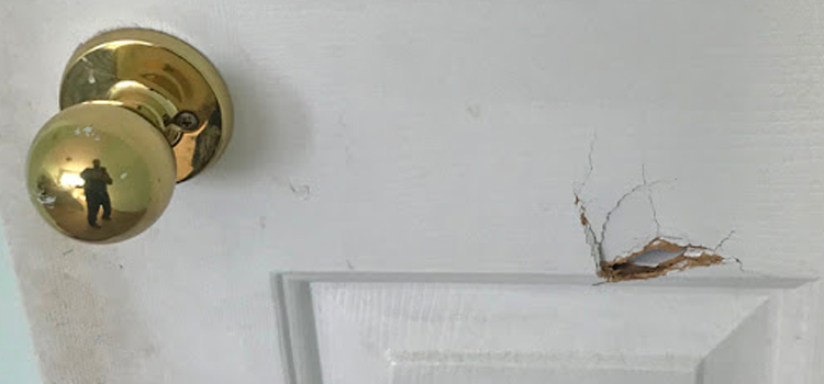 interior door hole repair Tamalpais-Homestead Valley